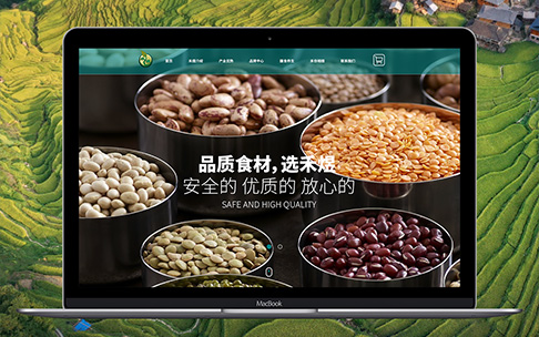 網(wǎng)站建設(shè)動(dòng)畫(huà)效果制作有哪些技巧？